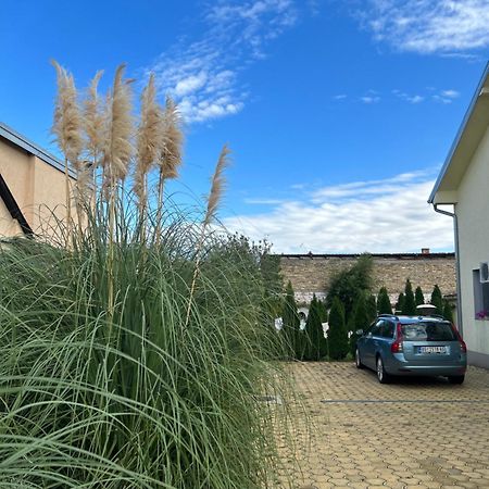 Nest Zen Garden Apartment โนวีซาด ภายนอก รูปภาพ